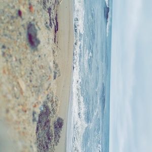 Meet your Posher, Bree